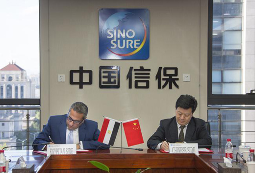 为中非合作搭建信用之桥——中国信保积极参与中非合作论坛北京峰会